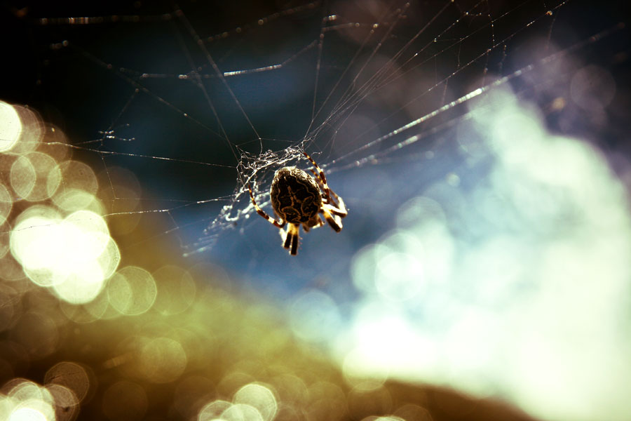 Fears & Phobias Hypnotherapy In Southampton